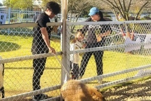 Beichuan分享旅游照：冒死投喂一下封王极限