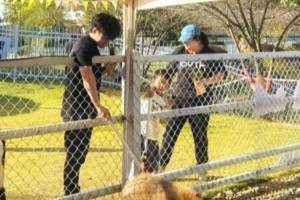 何意味Beichuan昨日更新微博动态 上线后将打野Shad0w取关