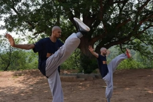 阿里纳斯：文班找和尚训练就像找家庭主妇训练 挺出片但没啥用